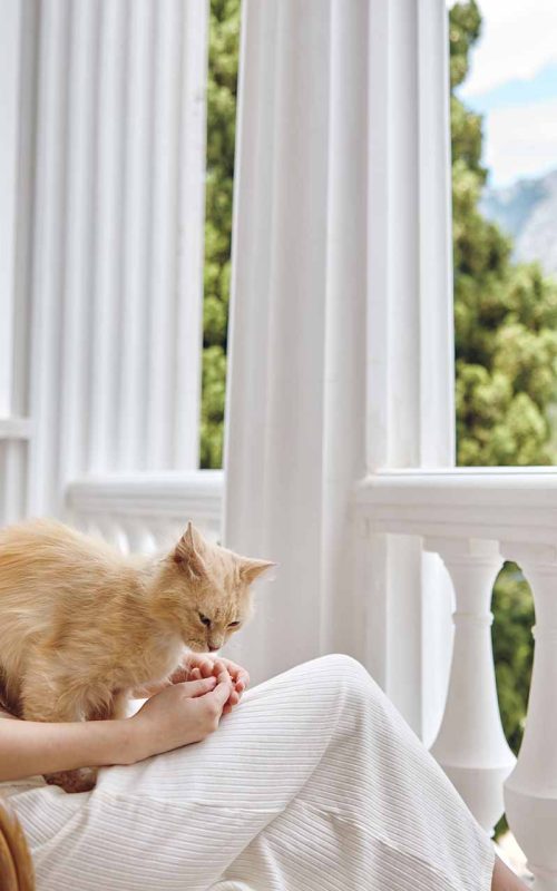 Reti anticaduta gatti per balconi e terrazzi | Balcome Protetto