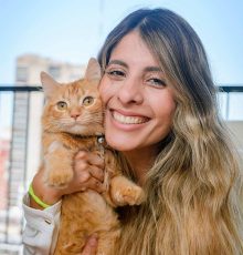 Reti anticaduta gatti per balconi e terrazzi | Balcome Protetto